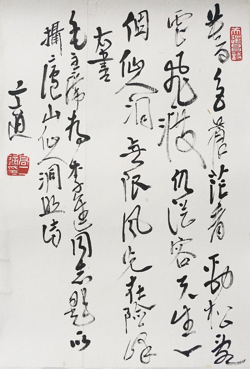 高二適書(shū)法《為李進(jìn)同志題所攝廬山仙人洞照》